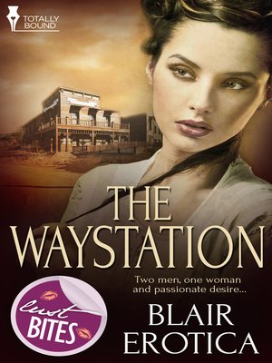 cover image of The Waystation